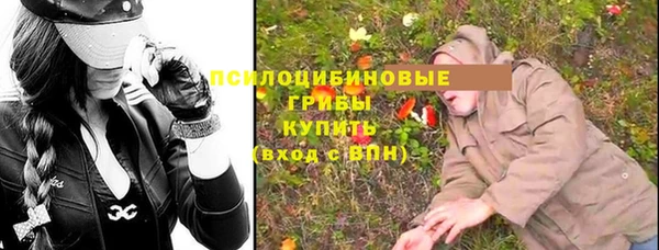 гидропоника Белоозёрский