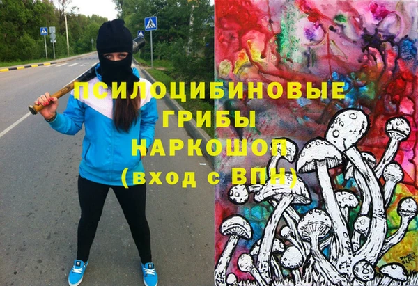 гидропоника Белоозёрский