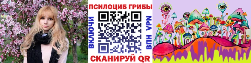 Купить закладки  Алексеевка  Галлюциногенные грибы мицелий 