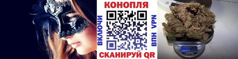 Бошки марихуана сатива Алексеевка